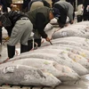 Chợ cá Tsukiji nổi tiếng ở Nhật Bản. (Nguồn: Reuters)