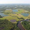 Vùng đầm lầy lớn nhất thế giới Pantanal. (Nguồn: Internet)