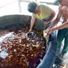 Một cơ sở tái chế dầu ăn bẩn ở Trung Quốc. (Nguồn: Internet)