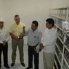 Bộ trưởng Nông nghiệp Mexico Francisco Mayorga làm việc với các nhà nghiên cứu tại Trung tâm gen ngô. (Nguồn: Internet)