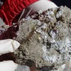 Hòn đá có chứa các siêu vi khuẩn được tìm thấy tại khu vực hồ Diamante. (Nguồn: Reuters)