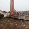 Phần đuôi của chiếc máy bay bị nạn hôm 24/8. (Nguồn: Getty Images)