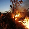 Lính cứu hỏa cố gắng khống chế ngọn lửa. (Nguồn: Getty Images)