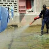 Phun thuốc diệt muỗi tại nhà dân ở Kaolack, Senegal. (Nguồn: AFP/Vietnam+)