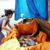 Người dân thu gom cá chết. (Nguồn: dongnai.gov.vn)