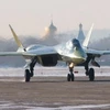Máy bay ném bom Su-34. (Nguồn: Ria Novosti)