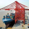 Bốc dỡ containner tại cảng Thượng hải. (Nguồn: en.ce.cn)
