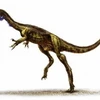 Mô phỏng loại khủng long Eodromaeus vừa tìm thấy hóa thạch. (Nguồn: AP)