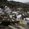 Tìm kiếm các thi thể sau động đất. (Nguồn: AP)