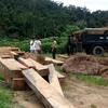 Một điểm cất giấu gỗ trái phép tại thôn Hòa Sơn, xã Sông Hinh bị phát hiện. (Ảnh: Thế Lập/Vietnam+) 