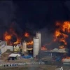 Ngọn lửa bùng phát tại nhà máy Magnablend Inc. (Nguồn: AFP/TTXVN)