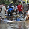 Dùng bao cát chắn nước lụt ở thủ đô Bangkok. (Nguồn: AFP/TTXVN)