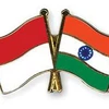 Indonesia và Ấn Độ tăng cường hợp tác Nam-Nam