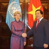 Thứ trưởng Nguyễn Thanh Sơn và Tổng giám đốc UNESCO Irina Bokova trước giờ hội đàm. (Ảnh: Dương Giang/TTXVN)