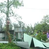 Bão số 11 làm tốc mái nhiều nhà dân ở thành phố Hội An. (Ảnh: Nguyễn Văn Sơn/TTXVN)