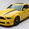 Mẫu xe Yellow Jacket Ford Mustang. (Nguồn: boxyblogs.com)