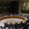 Hội đồng Bảo an Liên hợp quốc. (Nguồn: Reuters)