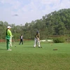 Các golf thủ tranh tài. (Nguồn: dddn.com.vn).