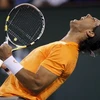 Nadal đã phải khá vất vả mới vượt qua được Karlovic (Nguồn: AP)