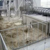 Hiện trường nhà máy Fukushima sau thời điểm bị sóng thần hôm 11/3 (Nguồn: TEPCO)