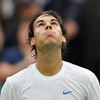 Nadal ngẩng đầu lên nhìn mái che của sân trung tâm sau khi đánh bại Sweeting (Nguồn: Getty)