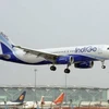 Mẫu A320neo của Airbus giúp tiết kiệm nhiên liệu (Nguồn: AFP)