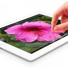 Màn hình Retina của new iPad (Nguồn: gizmag.com)