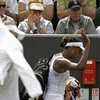 Venus nhận thất bại tệ chưa từng thấy tại Wimbledon