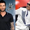 Maroon 5 vẫn trên Gangnam Style ở BXH Billboard