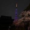 Thủ đô Tokyo của Nhật tắt đèn hưởng ứng giờ Trái đất (Nguồn: AFP)