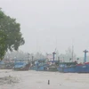 Tàu thuyền tập kết tại nơi neo đậu an toàn đề phòng thiệt hại do áp thấp nhiệt đới, mưa bão gây ra. (Ảnh: Internet).