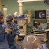 Các nhà khoa học Canada sử dụng máy "Lung Perfusion System" để phục hồi phổi bị tổn thương của người hiến tặng.(Ảnh: physorg.com)