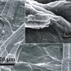 Các sợi giấy nhìn qua kính hiển vi điện tử (hình nhỏ) và mực phủ ống nano cácbon. (Ảnh:Tạp chí Science)