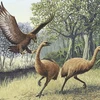 Phác họa về loài chim đã tuyệt chủng. (Ảnh: scienceblogs.com)