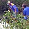 Những nhân viên rút ruột xăng dầu do Báo Thanh niên ghi hình (Ảnh: thanhnien.com.vn)