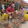 Gà thải loại đội lốt gà trong nước được bày bán công khai tại chợ Hà Vĩ trước đây (Ảnh: Đức Duy/Vietnam+)