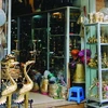 Nhiều phố theo tên Hàng vẫn bán những hàng xưa, Hàng Đồng vẫn bán đồ đồng, bát hương, hạc thờ... (Ảnh: Cẩm Thơ/Vietnam+)