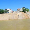 Nạn lấn chiếm đê sông Hồng lâu nay bị bỏ ngỏ "phạt cho tồn tại". (Ảnh: Internet) 