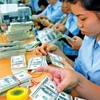 Lượng kiều hối và nguồn vốn đầu tư gián tiếp vào Việt Nam tăng. (Nguồn: Internet).