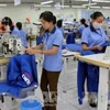 Sản xuất tại Công ty TNHH Toyotsu Vehitecs Việt Nam ở Khu Công nghiệp Mỹ Phước 3 - Bình Dương. (Ảnh: Quách Lắm/TTXVN).