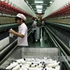 Sản xuất sợi xuất khẩu tại Công ty Dệt Hà Nam. (Ảnh: Trần Việt/TTXVN).