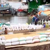 Mua lúa, gạo tạm trữ tại Xí nghiệp Chợ Trung tâm nông sản Thanh Bình, huyện Thanh Bình - Đồng Tháp. (Ảnh: Đình Huệ/TTXVN).