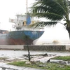 Tàu chở hàng trọng tải lớn bị sóng đánh dạt vào bờ trong bão số 9. (Ảnh Văn Sơn/TTXVN)
