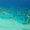 Vỉa san hô ngầm lớn nhất thế giới Great Barrier Reef. (Ảnh: Getty Images)