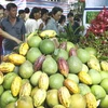 Sản phẩm trái cây đặc sản của tỉnh Tiền Giang. (Ảnh: Đình Huệ/TTXVN)