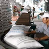 Vận chuyển gạo vào kho phục vụ xuất khẩu. (Ảnh: Đình Huệ/TTXVN)