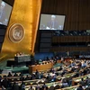 Một phiên họp của Đại hội đồng Liên hợp quốc. (Ảnh: THX/TTXVN)