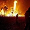 Đám cháy rừng nghiêm trọng tại khu vực Blue Mountains. (Nguồn: mirror.co.uk)