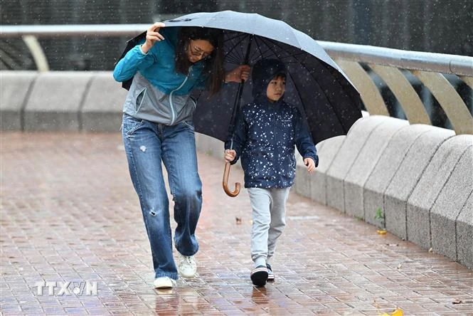 中國：颱風「鯉魚」造成大雨，香港學生停課