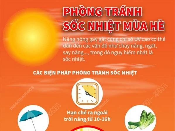 Infographics] Biện pháp phòng tránh sốc nhiệt trong mùa Hè | Vietnam+  (VietnamPlus)